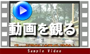 動画を観る