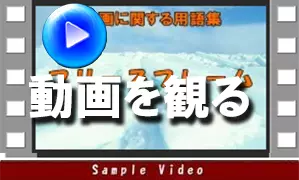動画を観る