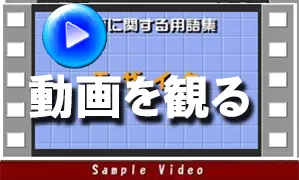 動画を観る