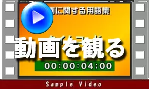 動画を観る