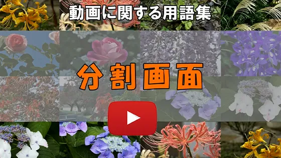 分割画面