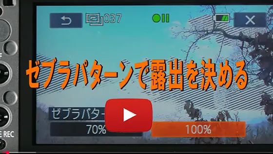 ゼブラパターン