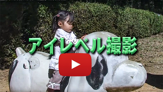 アイレベルの撮影