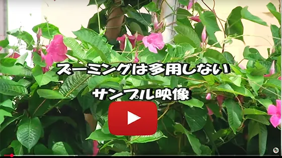 ズーミングは多用しない