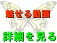 魅せる動画