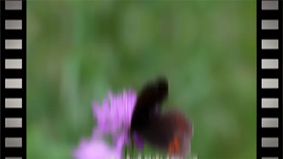 滑らかなスライド