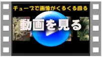 チューブ