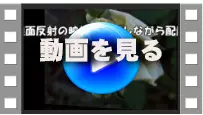 回転して出現