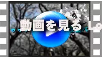 シャッターで配置