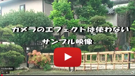 カメラの効果は使わない