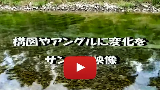 構図に気を付けて撮る